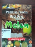 Panduan Praktis Budidaya Melon